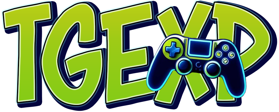 The Gaming Experience